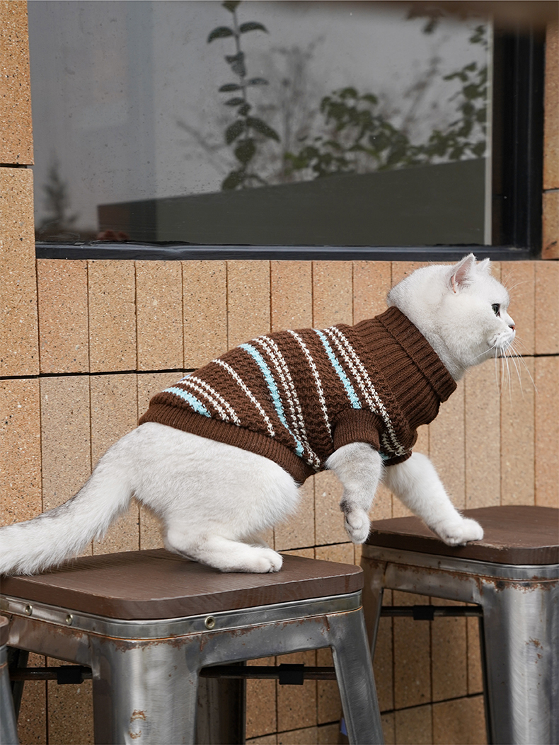 sunshines4eva's tweet photo. Just finished my hand-knit fuzzy cat sweater! It’s such a cozy little project, perfect for my chonky tabby  Check out the tiny pom-pom buttons I added! #HandmadeWithLove #DIYCrafts https://t.co/EbgaiUM4EO