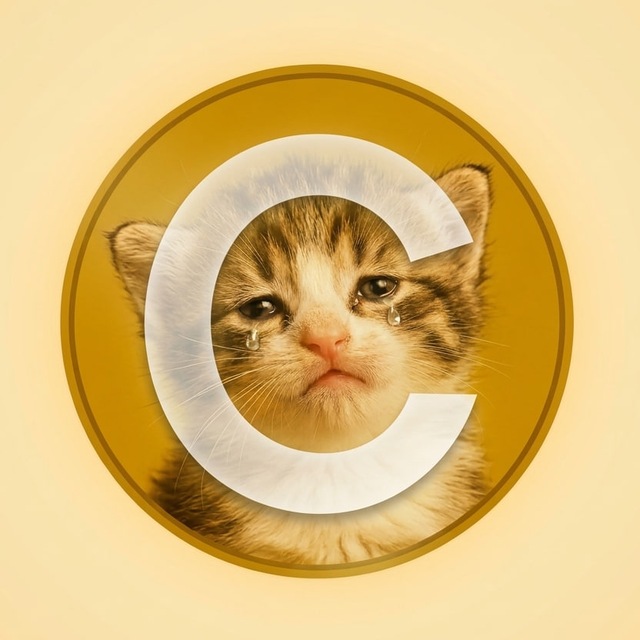 GeoffO7's tweet photo. $SadCate paired with
$CATE  
Now live!  Our journey is just starting...  GbHdvbRvf3J2JWGJM4sVJhuXTeAGLH1sxJuyoyhjpump
https://t.co/F63wnVKY27

#Solana #Memecoin #Crypto #SadCate
$SOL
#DEXTOOLS https://t.co/IK4ufZoJeE