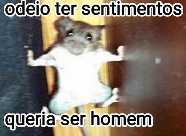acervobichinho's tweet photo. https://t.co/up2eMaX7KU