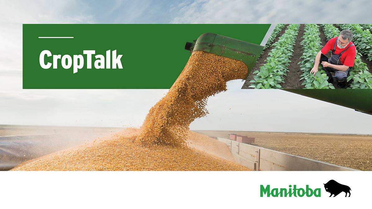 MBGovAg's tweet photo. Join the #MBAg #CropTalk webinar today, Sept. 23, at 9 a.m. for a harvest update and to hear the latest from the crop scouting panel. Register at https://t.co/BIUiWSWSpH. https://t.co/v2XtU6MC1s