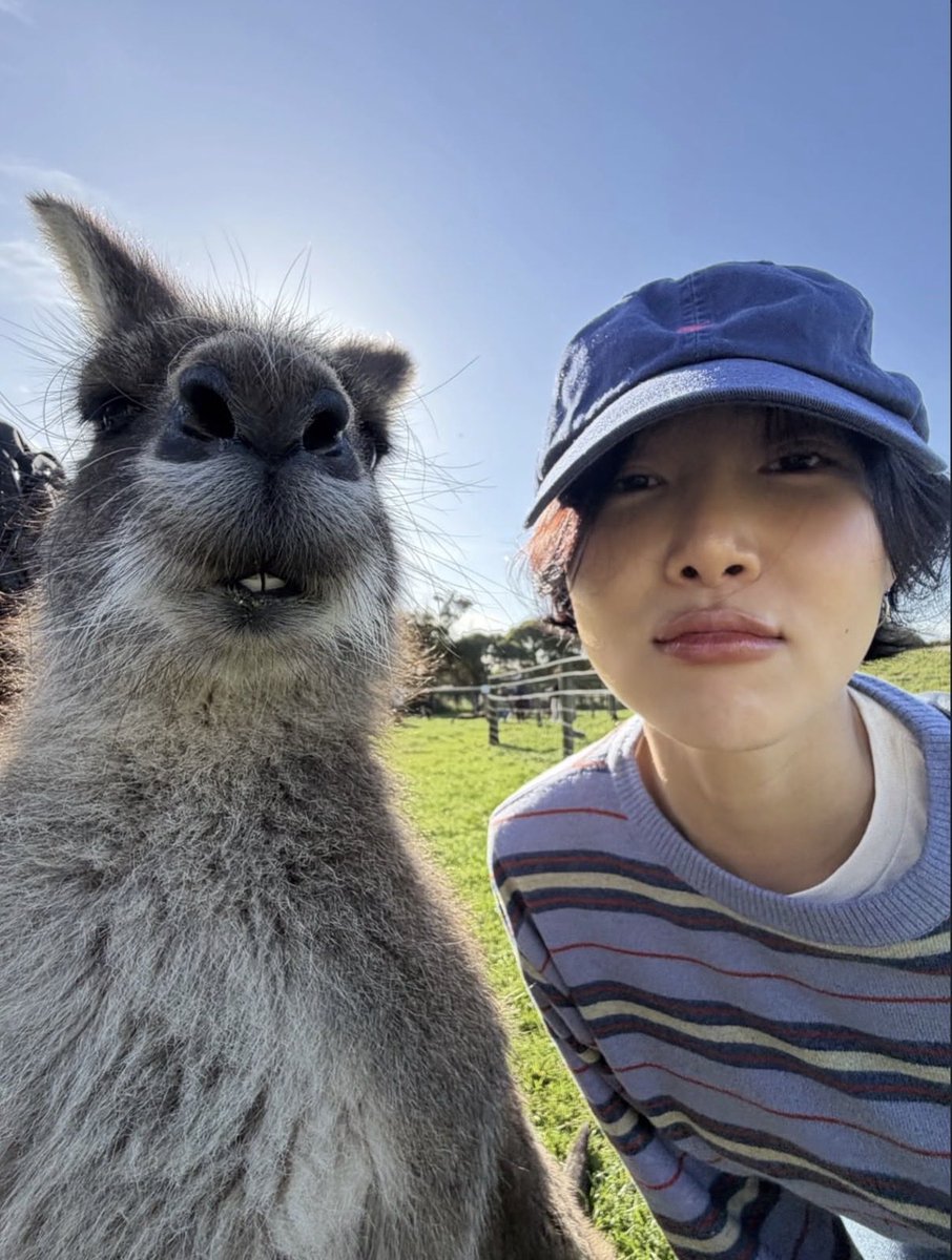 soleilbyul's tweet photo. OF COURSE HWASA TOOK A SELFIE WITH A KANGAROO 🦘 https://t.co/zZ1XAyQEcS