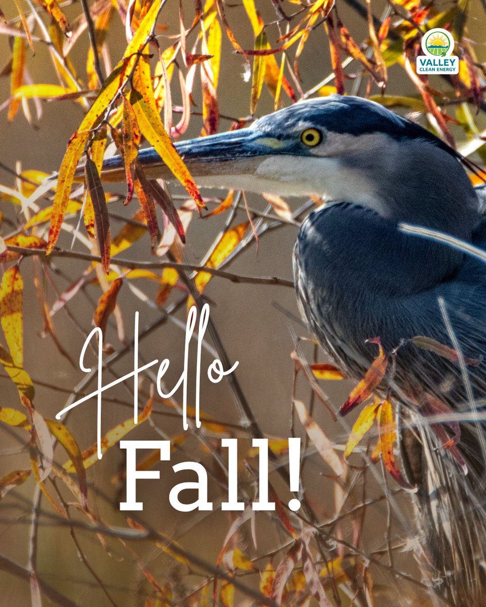 VCleanEnergy's tweet photo. Hello, fall! 🍂 A new season is a good time for a fresh look at how your home uses energy. https://t.co/vTvyMsYiIK