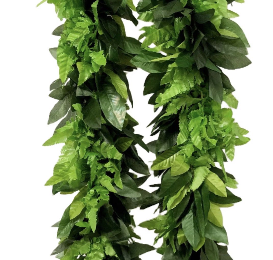 TikiTales's tweet photo. In a collective effort to protect Hawaiʻi’s native forests and natural resources, the Merrie Monarch Festival, judges, and participating kumu hula have agreed to a 3-year moratorium on the picking, gathering, and use of maile, palapalai, and ʻōhiʻa lehua for the 2027 Merrie Monarch hula competition purposes.

This is how we work collectively, sustainably. 

Live like we live in a canoe