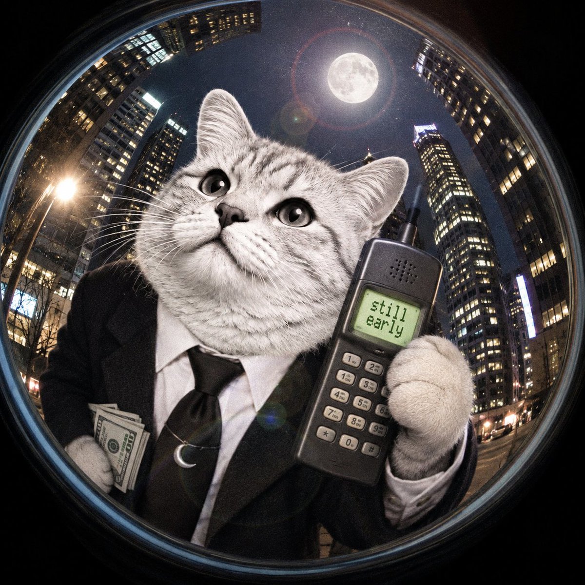 mooncat_hood's tweet photo. robinhood by day, moon missions by night. https://t.co/lCNKYM1nCc