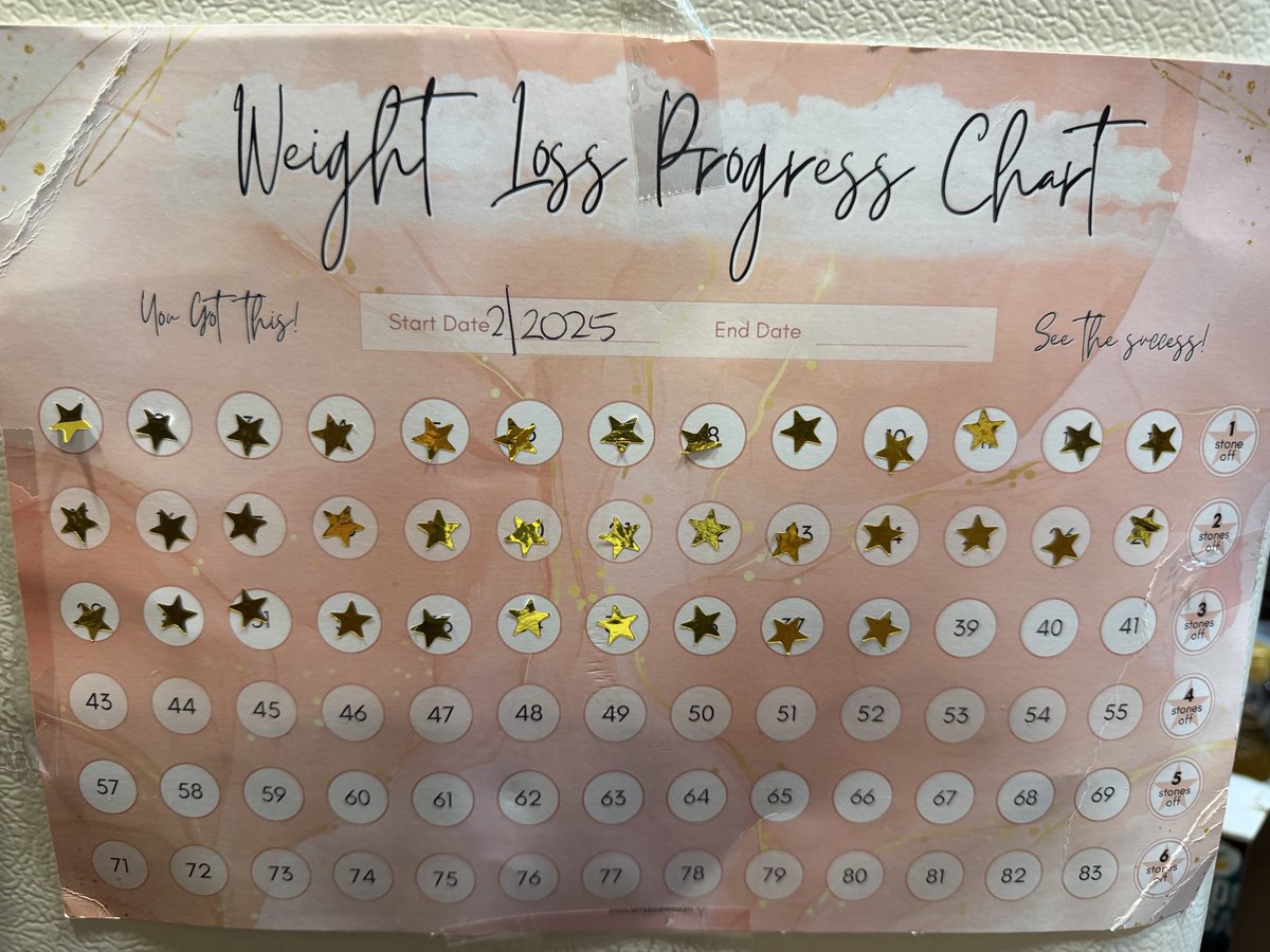 GabriellaLately's tweet photo. Tell me you’re a teacher without telling me… 🤣🤣🤣 #stickerchart #datatracker #weightloss #motivation https://t.co/C9HEowCrSi