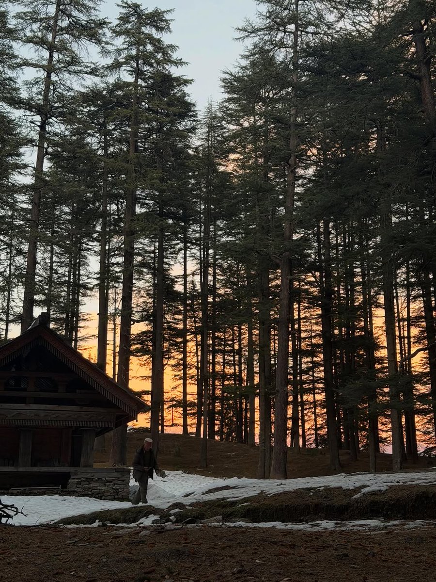 kavyathapar20's tweet photo. In another universe, this is where I’d like to exist ♾️🌲✨ https://t.co/Pz8Ivy3WVa