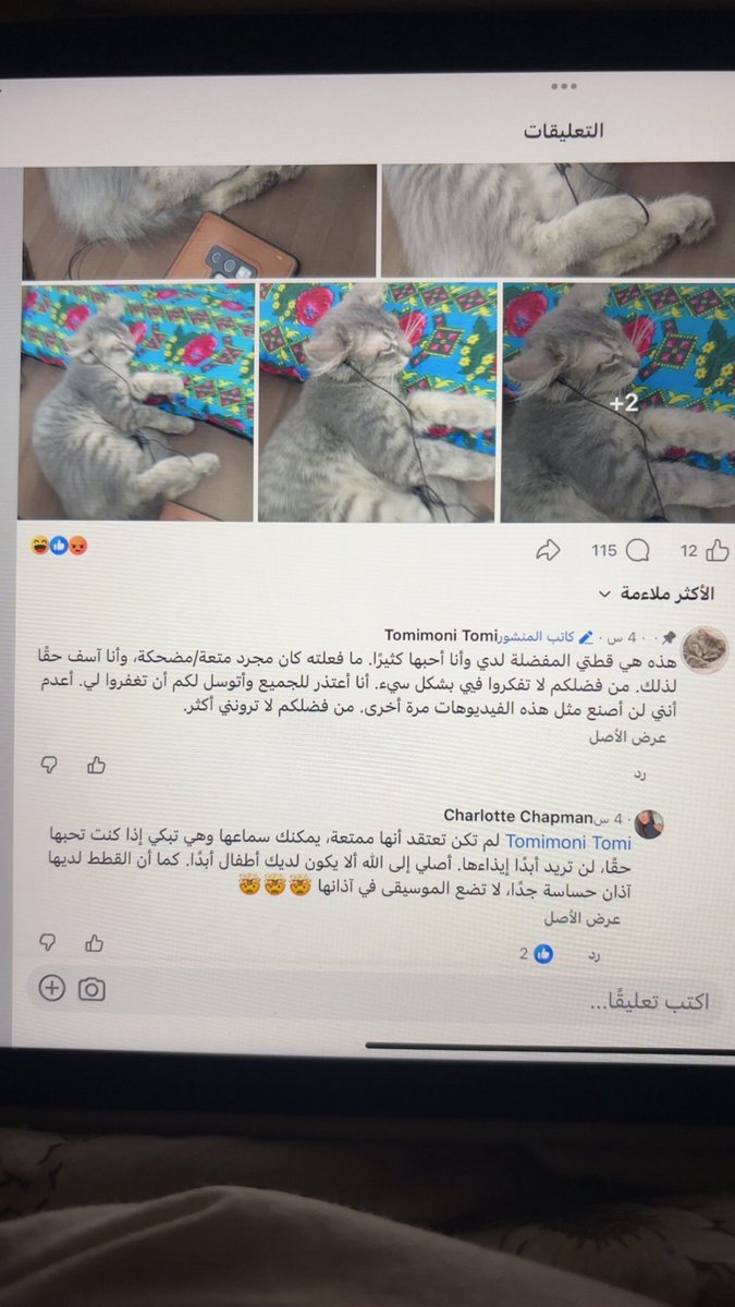 Diisi505's tweet photo. هاذا آخر شي نزلة البنقالي بحسابة #بنقالي_يعذب_القطط_في_السعودية #بنقالي_يعذب_القطط_في_السعودية #بنقالي_يعذب_القطط_في_السعودية #اليوم_الوطني_السعودي_٩٦ https://t.co/vBlZWMXuOq