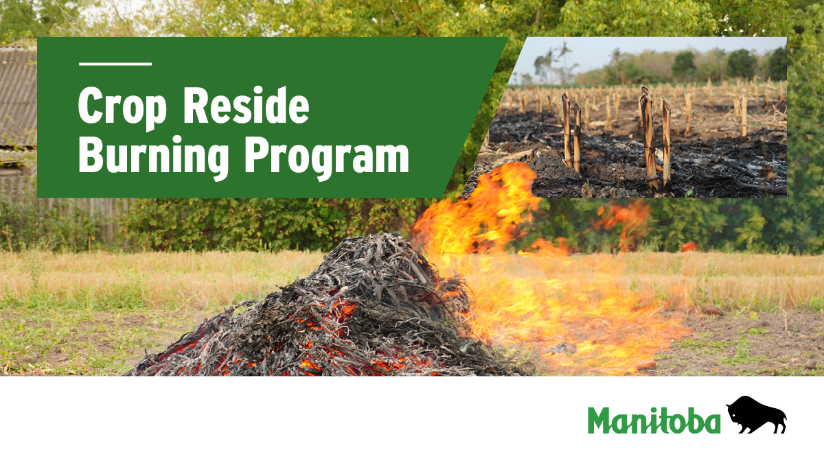 MBGovAg's tweet photo. The Manitoba Controlled Crop Residue Burning Program is in place from Aug. 1 to Nov. 15, 2026. Check the up-to-date crop residue burning daily authorization at https://t.co/xIlj3DTrmF. #MBAg https://t.co/4Rly2JTWcu