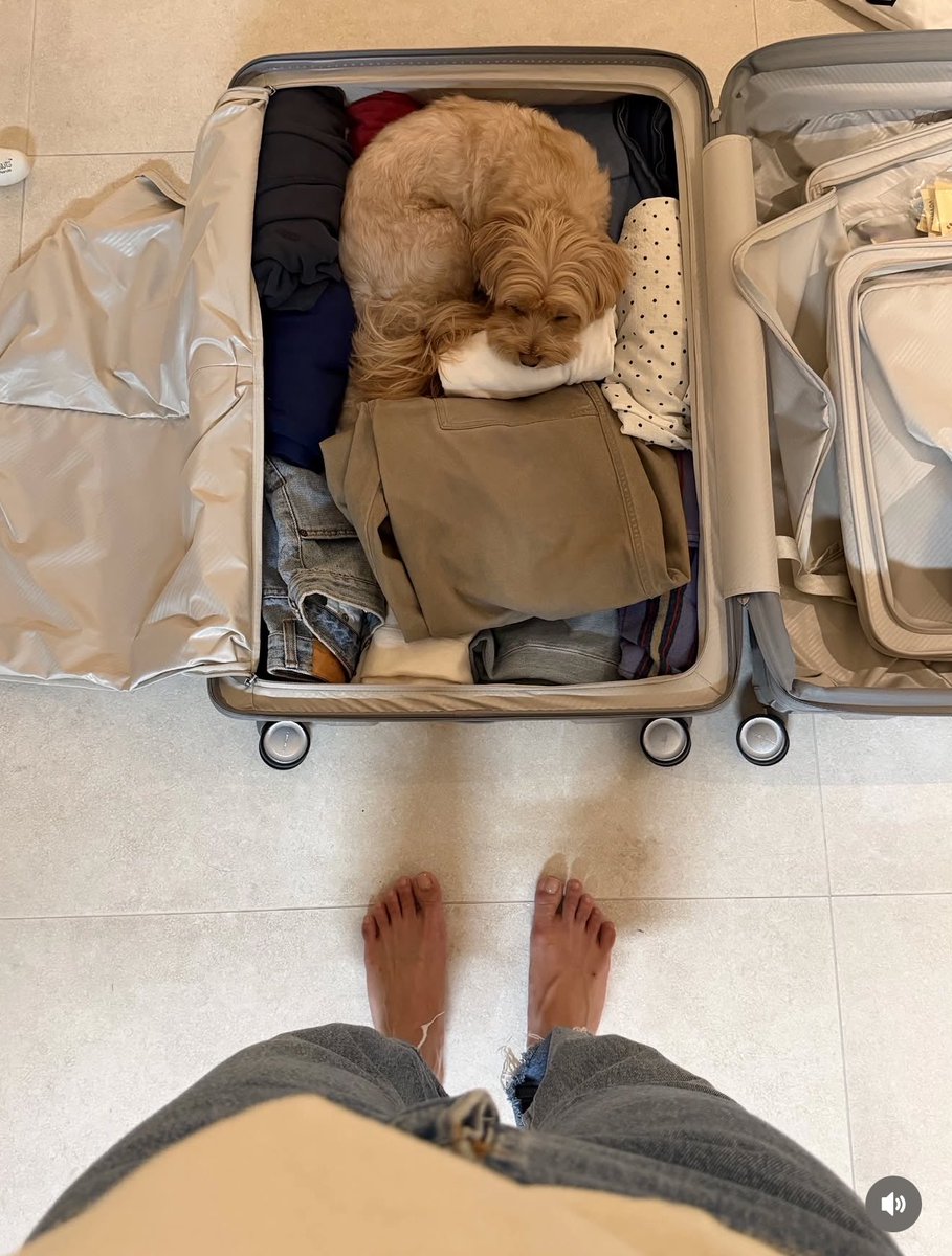 wheevoice's tweet photo. e pensar que a hwasa nunca teve um pet por ser alérgica e hoje tem a cu que não desgruda dela por NADA ai que amor mds https://t.co/5WoDni88QC