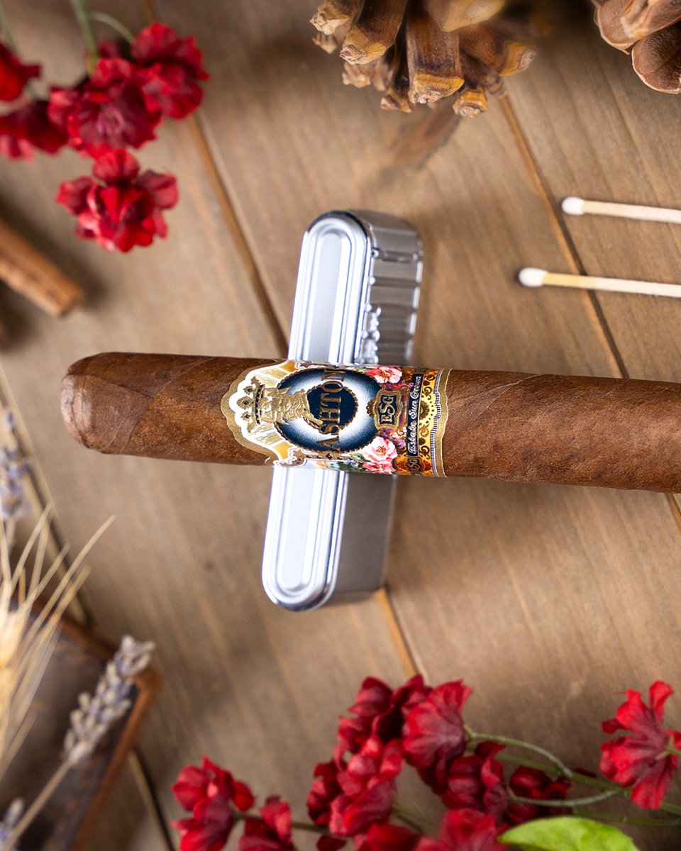 Ashtoncigar's tweet photo. The first day of Autumn has never looked better. 💨  

As the air cools and the season changes, step outside, light up your favorite, and settle into the slower pace of fall. Some escapes are as simple as fresh air and leaves. 🍂 https://t.co/X0H6CrItXd