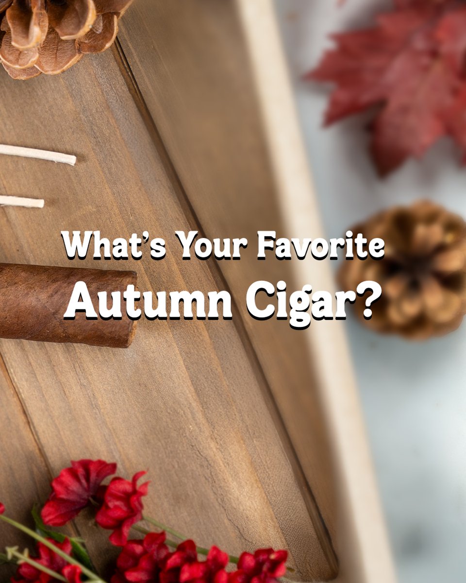 Ashtoncigar's tweet photo. The first day of Autumn has never looked better. 💨  

As the air cools and the season changes, step outside, light up your favorite, and settle into the slower pace of fall. Some escapes are as simple as fresh air and leaves. 🍂 https://t.co/X0H6CrItXd