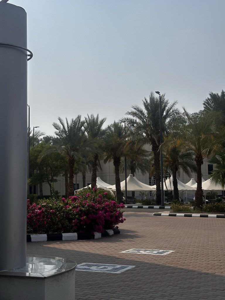 50gxi's tweet photo. #نادي_طويق 
#مجتمع_طويق https://t.co/qgSO4yszp2