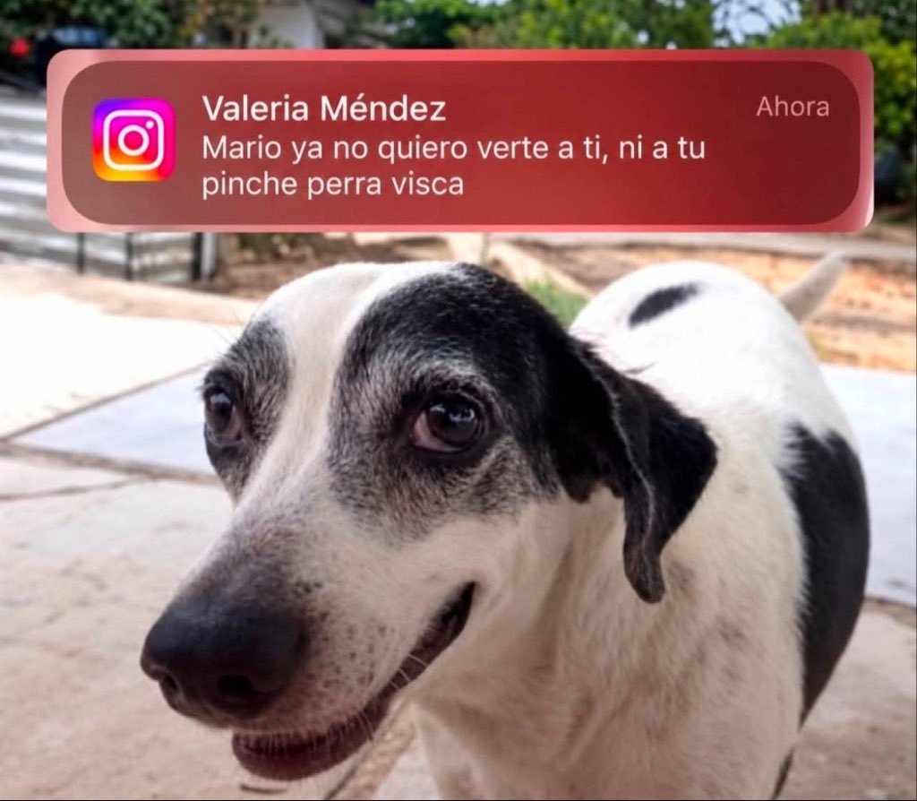 Borisanimalo_69's tweet photo. Con mi Marysol no te metas HDLV https://t.co/ym47GfF5Me