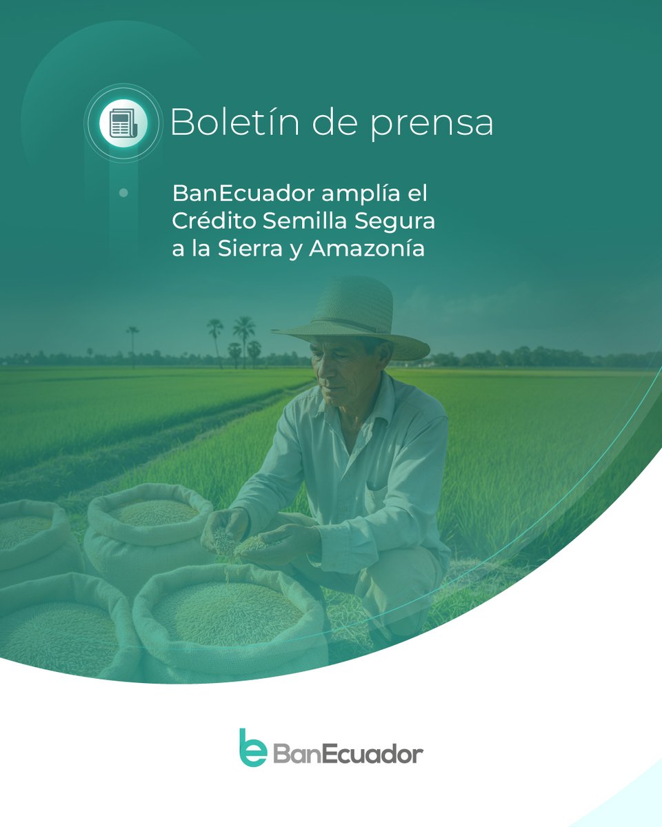 BanEcuadorBP's tweet photo. Ampliamos el crédito #SemillaSegura para que más productores accedan a financiamiento y cuenten con semillas certificadas, insumos, tecnología y asistencia técnica, de acuerdo con las necesidades de sus cultivos.

Conoce más ➡️https://t.co/rCgdF7jiMr https://t.co/2XXWEHALep