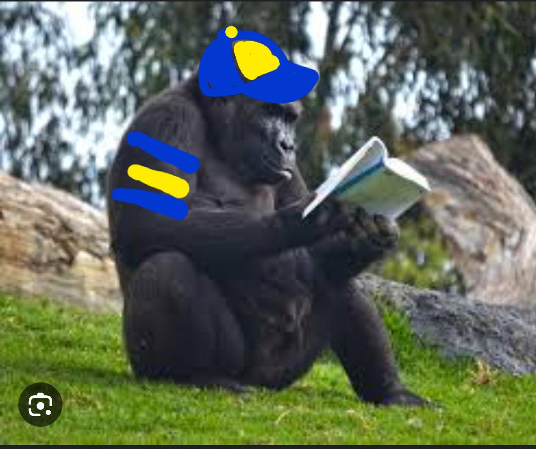 Lencina013's tweet photo. @BocaJrsOficial Lo ley 5 veces y no entendí un carajo https://t.co/TFxbqxsBw9