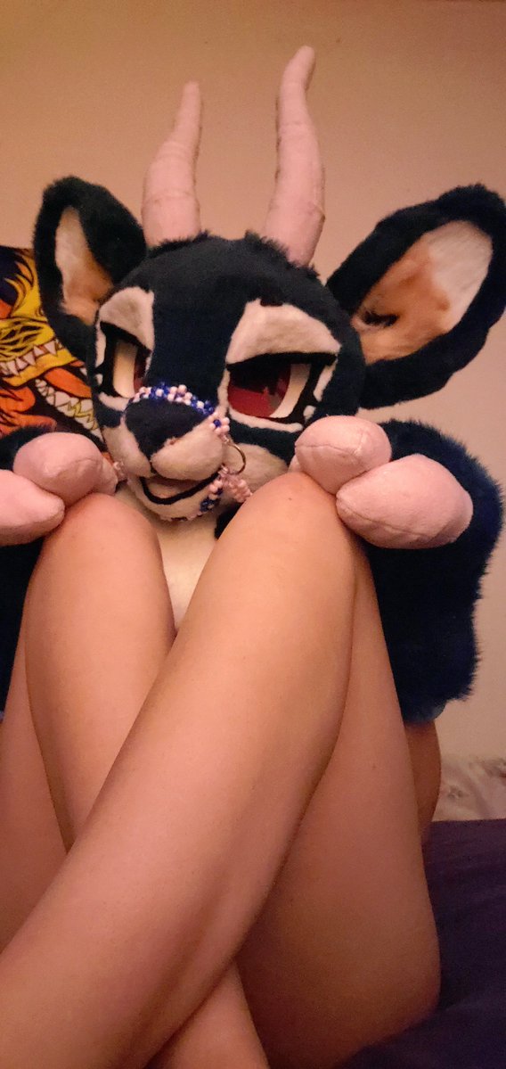 Crushed_Currant's tweet photo. A couple quick pics from last night ;3

#furry #fursuit #softsuit #furrygirl https://t.co/5BgTQHkEAx