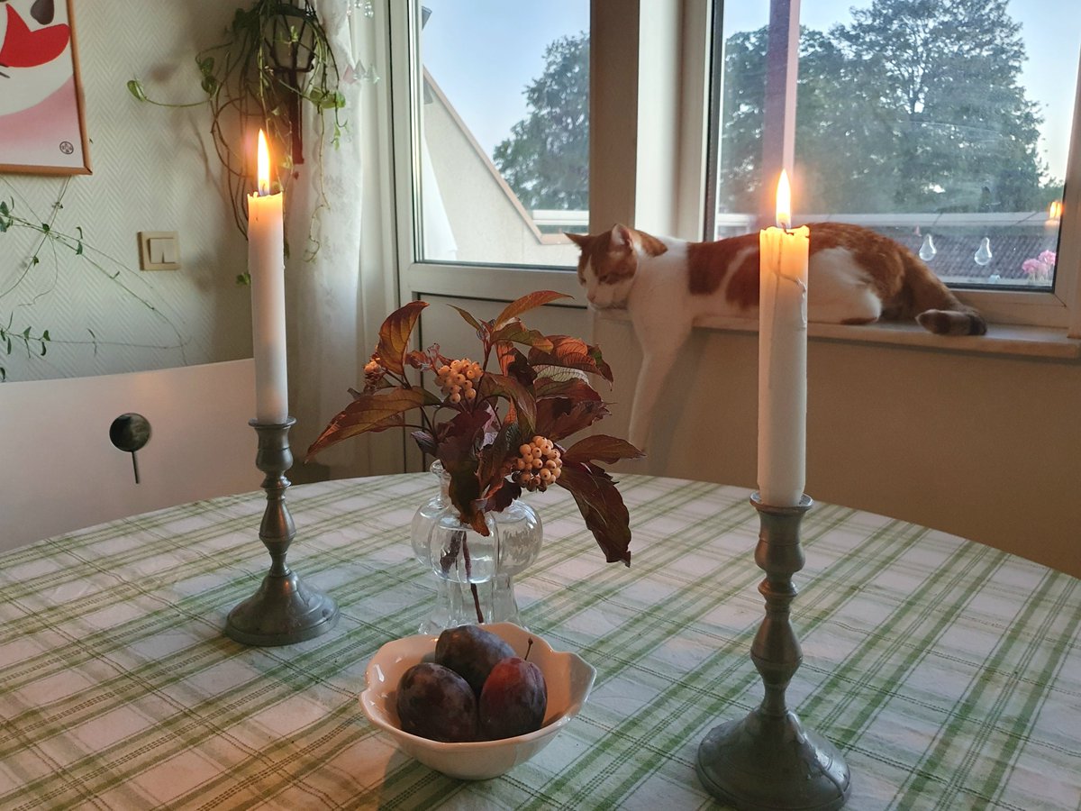 gron_sweden's tweet photo. またこの季節。

このあと日が落ちて、もうあっという間に暗くなります。 https://t.co/OG5BeENr6A