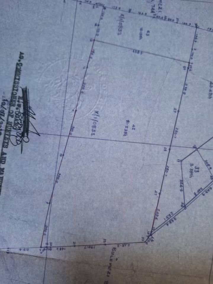 ewaffeproperty's tweet photo. 200 acres for sale in Katikamu County, Luwero District Each acre @10m, Title available call or WhatsApp +256743245710 https://t.co/SGYTrTncjf