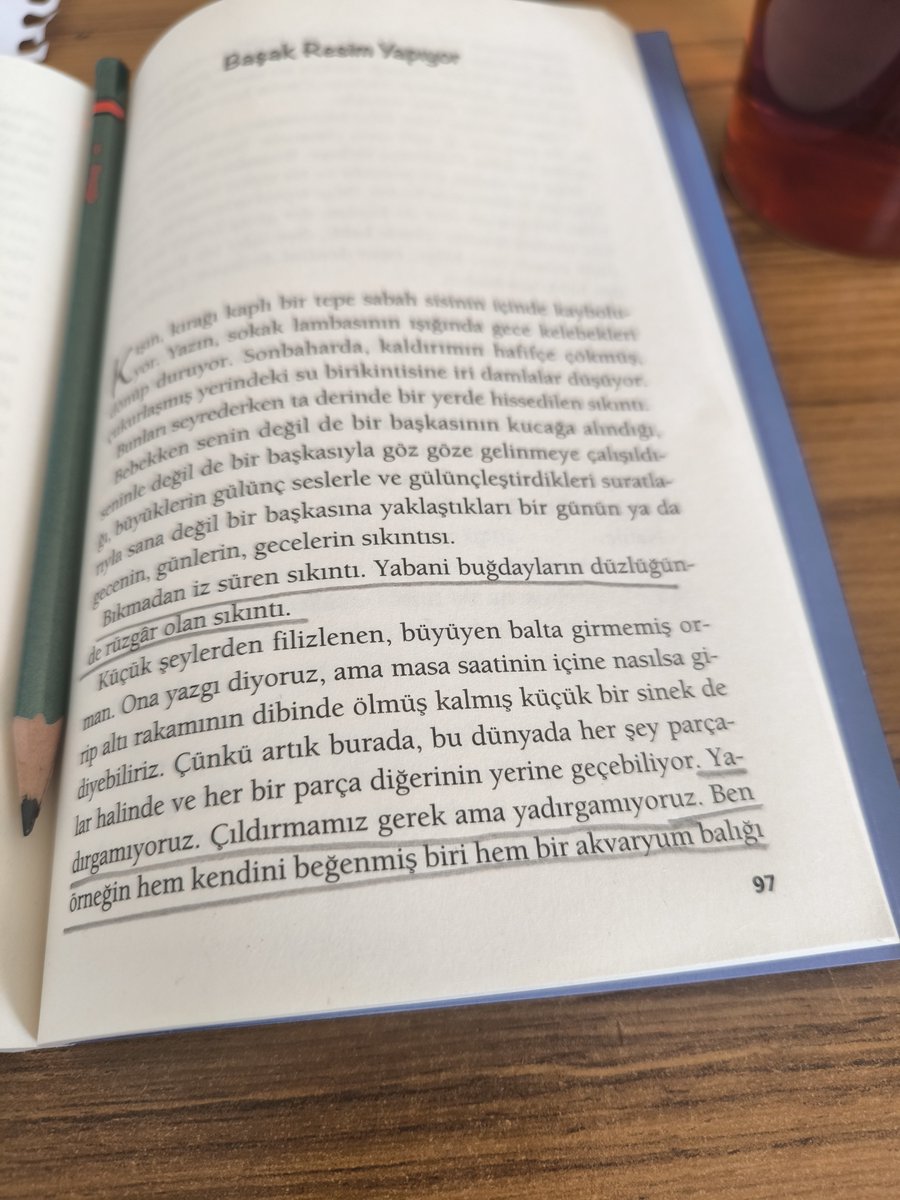 balkklc's tweet photo. Yadırgamıyoruz, çıldırmamız gerek ama yadırgamıyoruz https://t.co/tARHawvDid