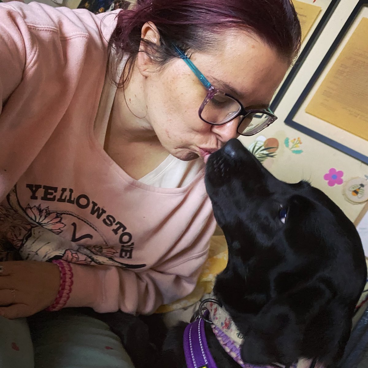 laurenichka's tweet photo. 10,000 kisses a day for my girl 🥰💋🐶
#bellatrix
#dogmom https://t.co/pptx9e7sei