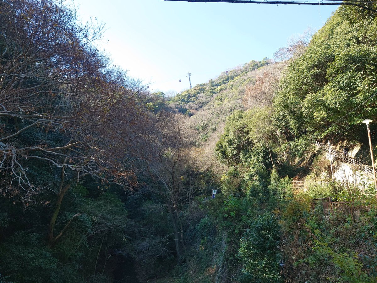 saiten1007's tweet photo. 布引の滝
神戸散歩 https://t.co/OO5PjOiJjn