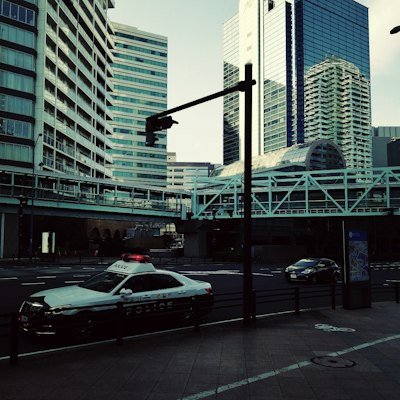 naill_amy's tweet photo. ずっと同じ駅を使ってるのに今日初めて気づいたんだけど、階段の角に小さい花が咲いてた。毎日すれ違ってたのかな😌 https://t.co/eid6olWhvs