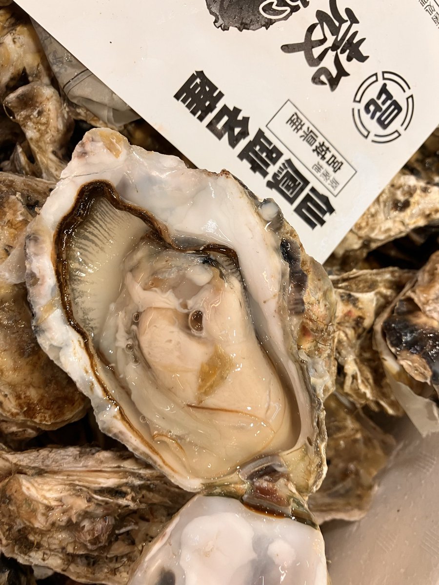 Osashimi0705's tweet photo. 生使用牡蠣2k2000円税
どっさり
身入濃厚美味しいあたり品ですね
500個限定
御予約承り致します https://t.co/lchazMAaKe