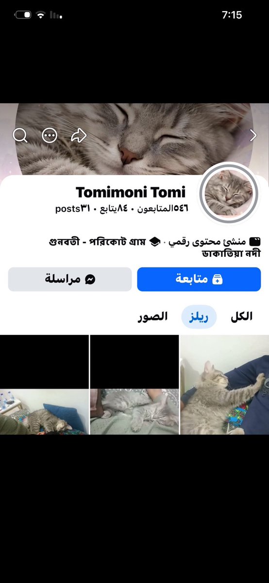 rahaffies's tweet photo. #بنقالي_يعذب_القطط_في_السعودية 
#انقذو_القط_من_البنقالي 

يناس القط انشل من التعذيب وهالشي ماينسكت عليه هذي روح بريئه مالها لا حيل ولا قوه متى ممكن يتم القبض عليه!!!! لما يموت يعني 

@MEWA_KSA @MOISaudiArabia @security_gov @kamnapp @MEWA_KSA @security_gov @Rahmah_ksa https://t.co/7ppKsiihw9