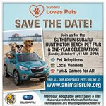 Photo by Animals Rule Rescue (@animalsruleorg)