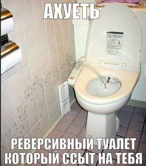 shkotobaza's tweet photo. https://t.co/7E1JNRuvZs