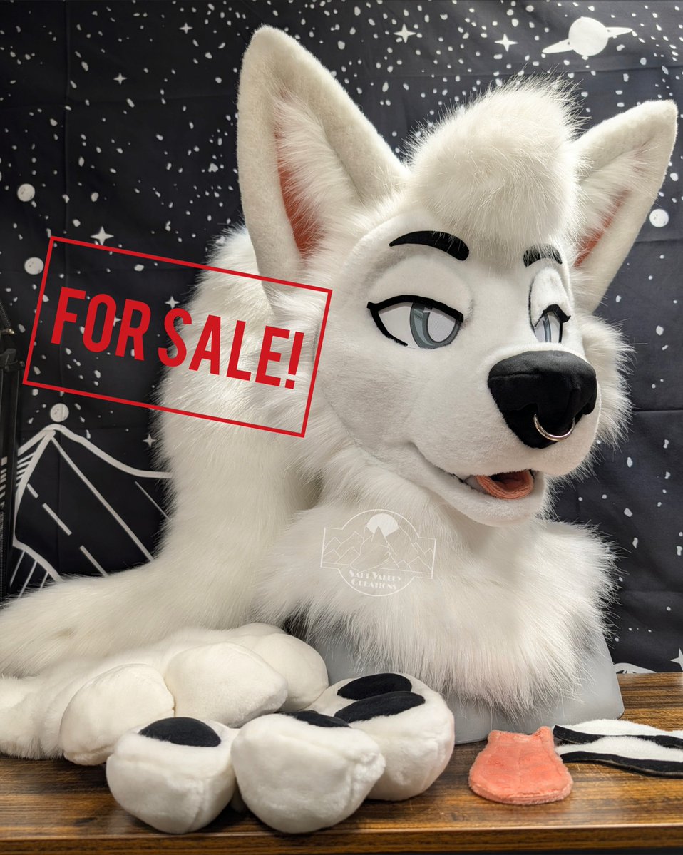 SVCfursuits's tweet photo. As much as I love Salt I haven't worn them in over a year and I feel bad they're just sitting in my closet.
I added eyebrows so they're a little more different than Salt and the buyer can choose whatever eye color they want! https://t.co/ygw3bjtfGt
