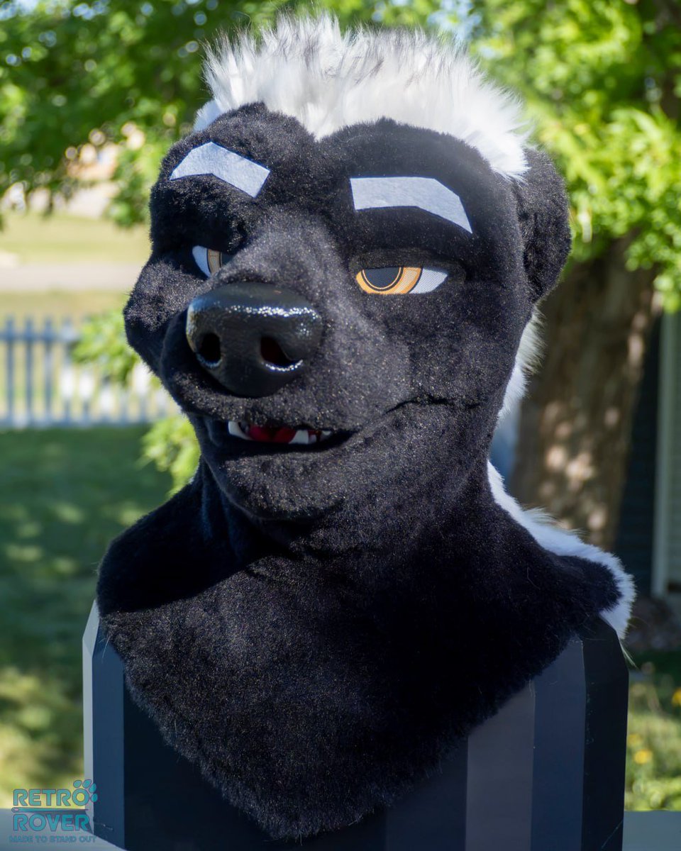 RETR0R0VER's tweet photo. HONEY BADGER PARTIAL

Includes head, tail, and paws (custom for buyer, freakhound skunk pattern)

Sized for a 21-23.5" head! Slim fully lined neck with pocket. 

**Can be edited to match a honey badger character!! ** https://t.co/29VB5KOpHZ