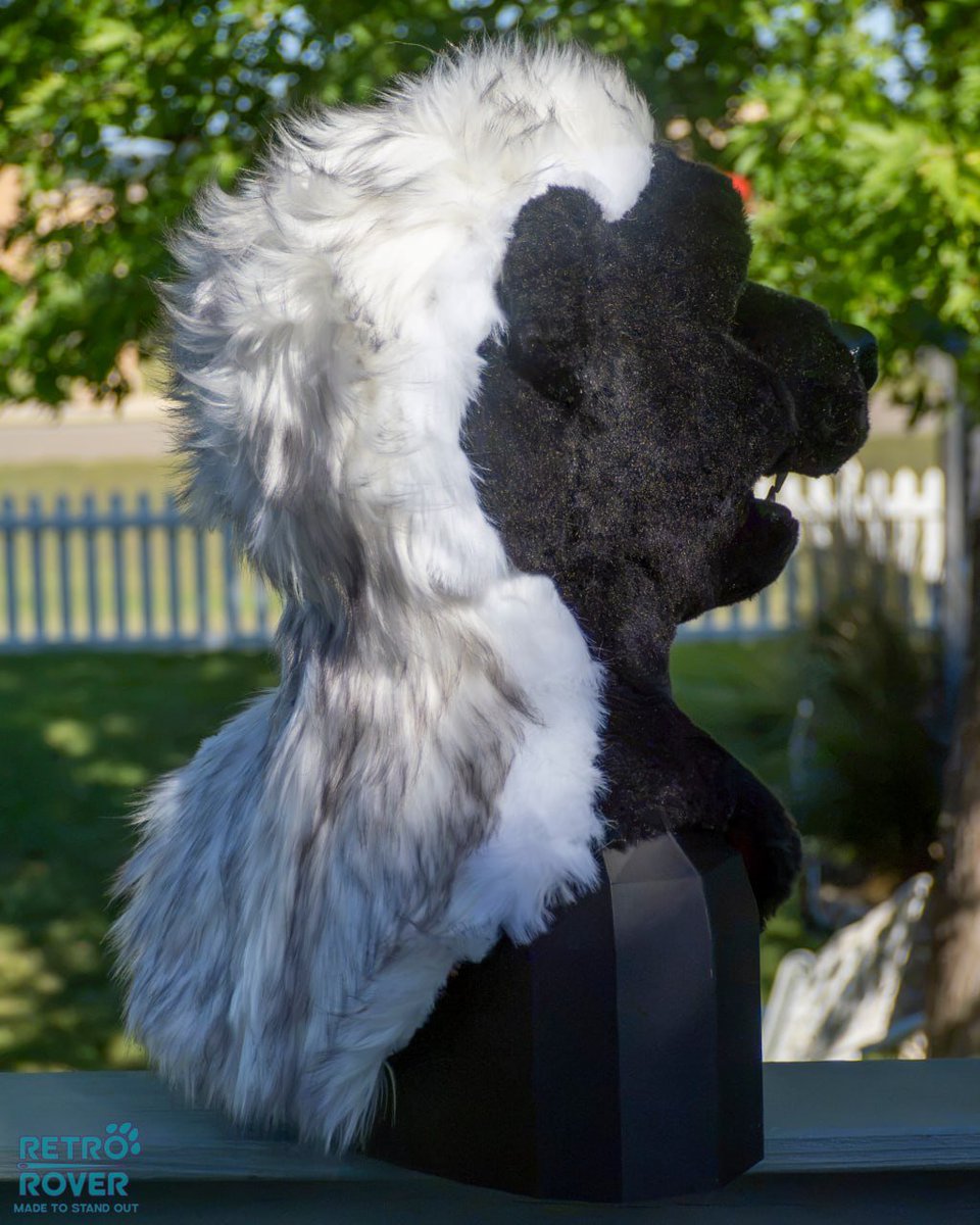 RETR0R0VER's tweet photo. HONEY BADGER PARTIAL

Includes head, tail, and paws (custom for buyer, freakhound skunk pattern)

Sized for a 21-23.5" head! Slim fully lined neck with pocket. 

**Can be edited to match a honey badger character!! ** https://t.co/29VB5KOpHZ