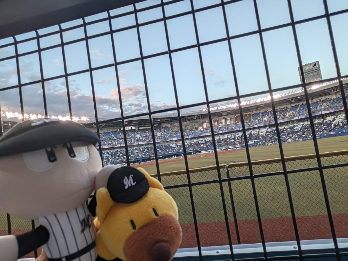 ryuronrai1's tweet photo. スマホ6年ぶりに機種変して初マリンで写真撮ったらメチャクチャ綺麗でビックリしたよパワくん…！
ネット越しのピントも遠くもこんなキレイに撮れるんだぁ… https://t.co/iQXJv4XYWx