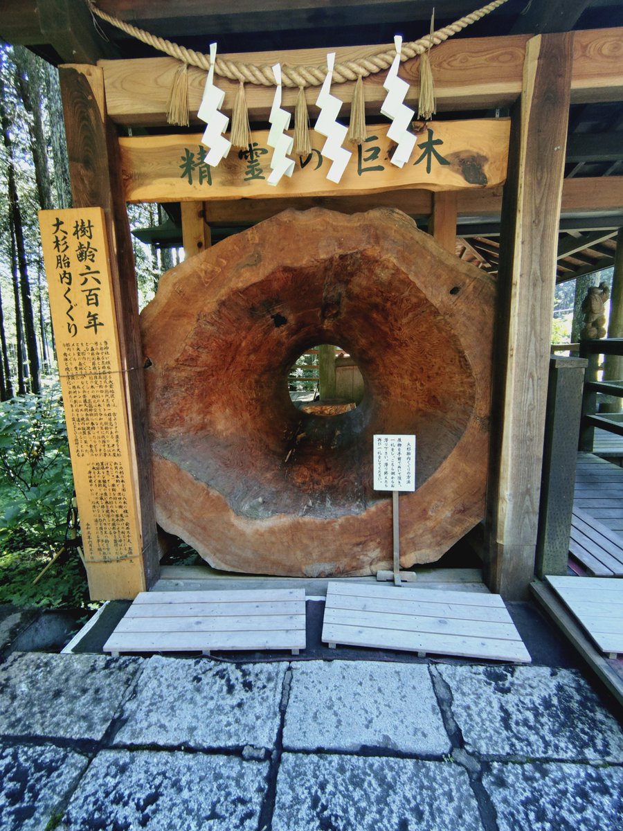 k305u's tweet photo. お蕎麦を食べ近くの神社へお参り
風は心地よくヒガンバナが美しかったです
#大室高龗神社⛩️
#ヒガンバナ https://t.co/fcLoypdIPK
