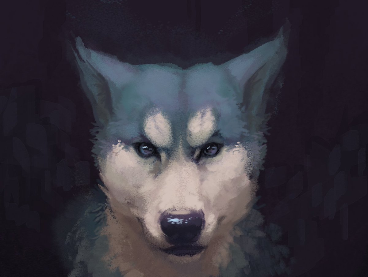 Sn000rk's tweet photo. Practicing / trying new drawing apps </3 https://t.co/5dEi9waSi0