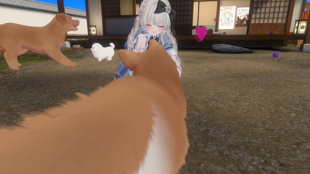 hisui__iceblue's tweet photo. おはようございますー！あのまま寝てしまった…。
これはもふもふをもふもふする僕 https://t.co/2r7LkRLjJq