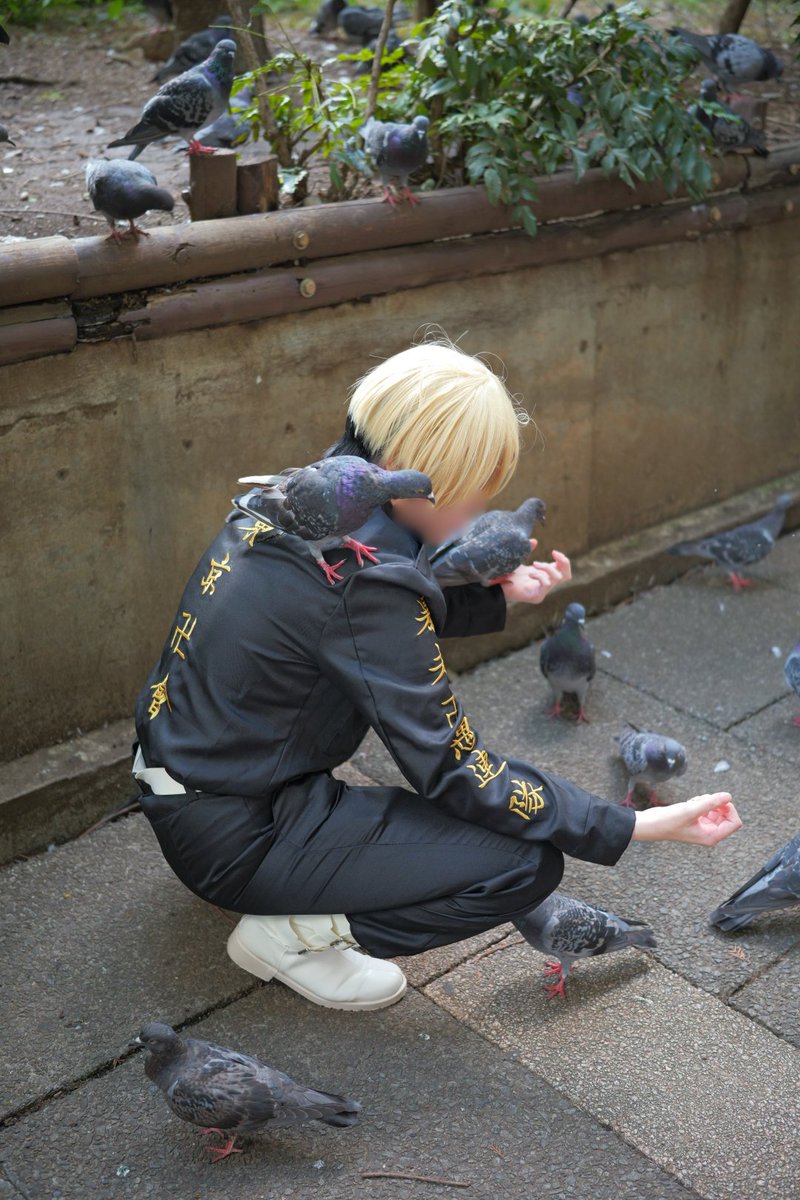tomatomaru0427's tweet photo. 千冬、うんこされてるよ。 https://t.co/gMSATpaV3u
