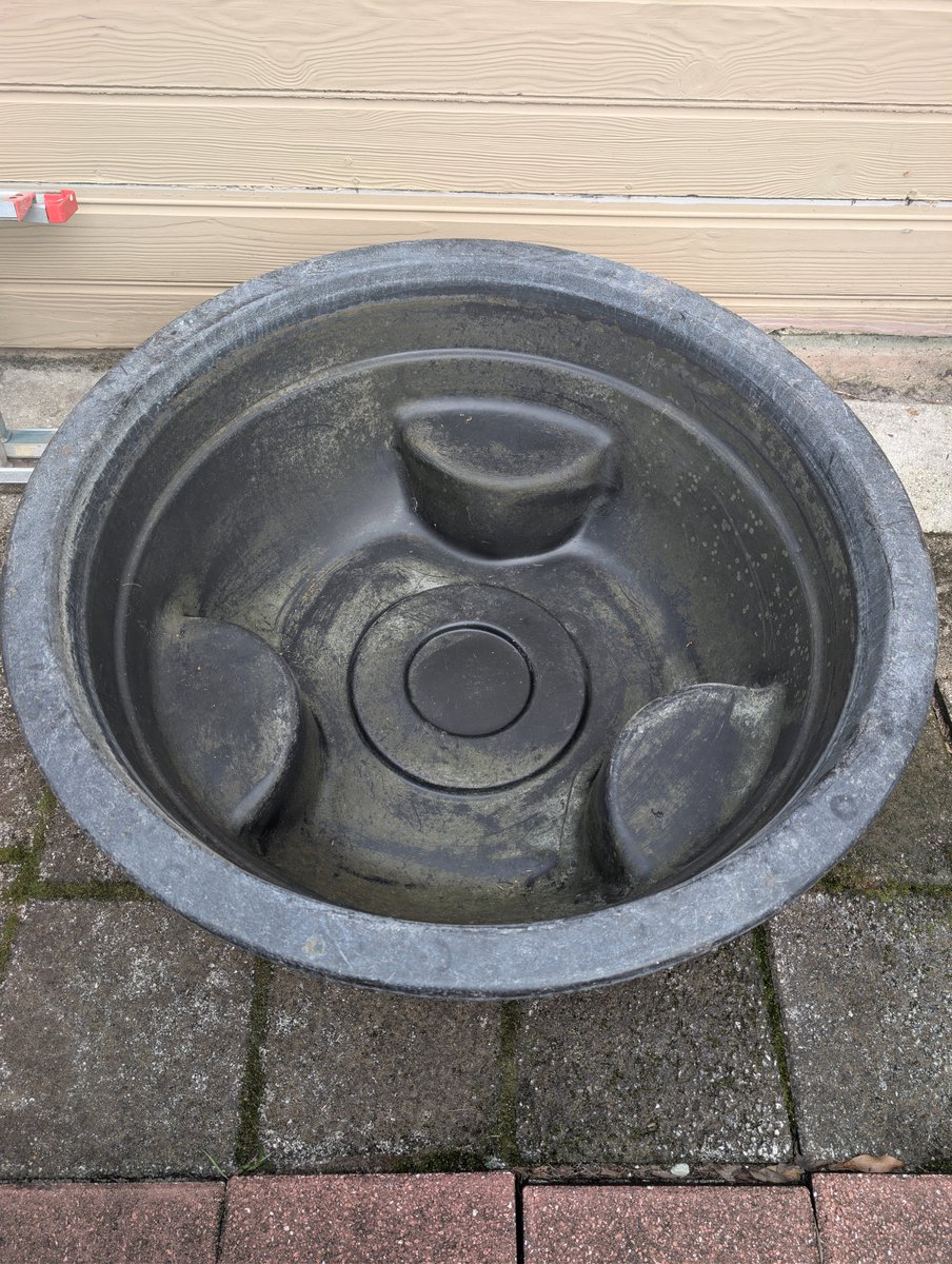 earthlyenhanced's tweet photo. I have acquired a little pond 😃 https://t.co/L76aUu8AYa