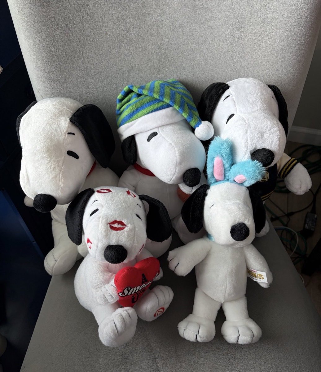 DailySnoopys's tweet photo. https://t.co/UUl63WPlFw