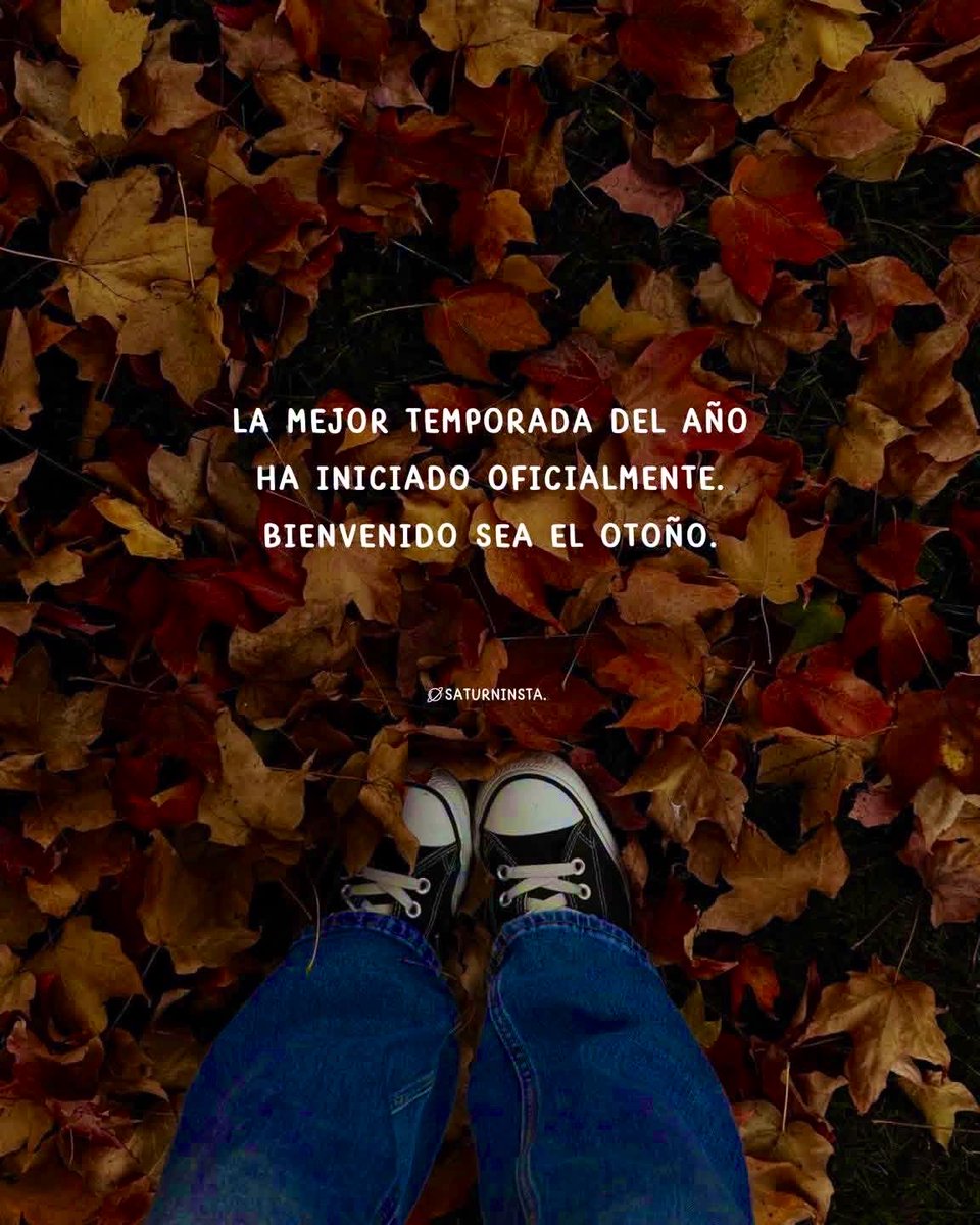 FlorNorthSouth's tweet photo. Bienvenido Otoño 🍂🍁✨ https://t.co/OdeyMcPa9C