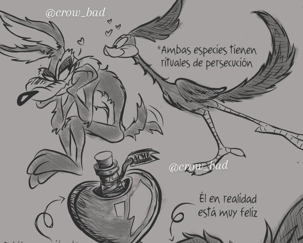 crow_bad_'s tweet photo. 🫪 Aprendí sobre el cortejo de los coyotes y los correcaminos para esta mamada, y me divertí muchísimo haciéndolo 

#wilerunner #wileroad #looneytunes #coyotevsacme #coyote https://t.co/58M4ILRZzg