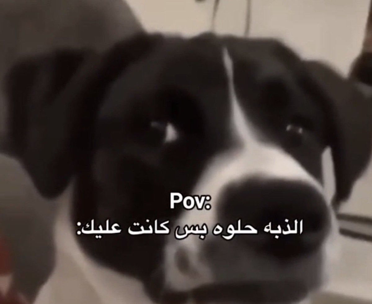 euovet's tweet photo. لاحول https://t.co/egfOnBwBoW