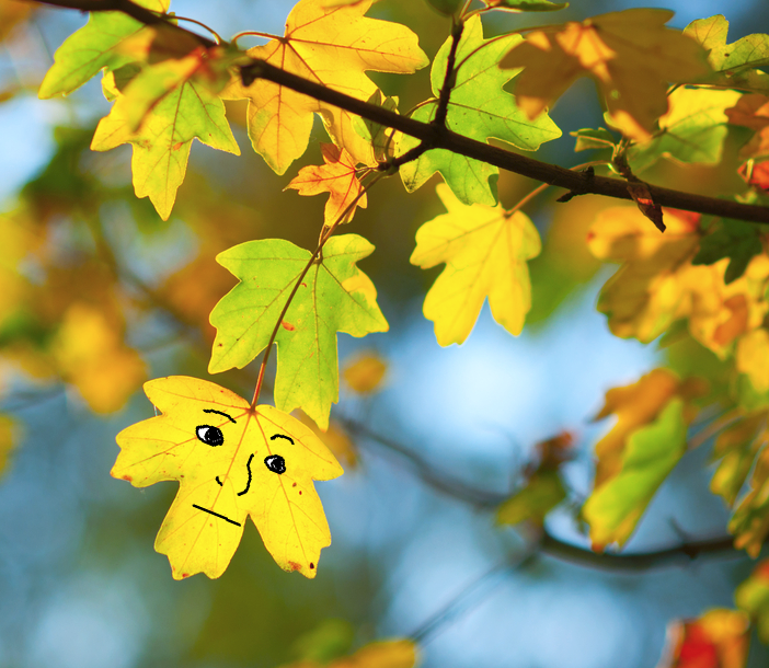 calmposter's tweet photo. It's that time of year again, friends. https://t.co/K1fMclMGkU