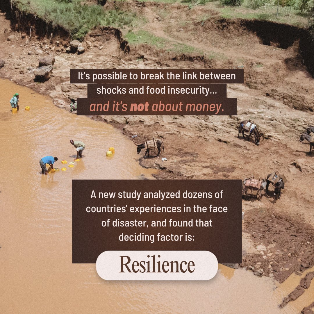 BiovIntCIAT_eng's tweet photo. 🌍 Natural and human-made shocks do not have to lead to more hunger by default.
New research in PNAS points to resilience: the ability of people, communities, and institutions to adapt and recover. 
👉 Learn more: https://t.co/cJZNgAQjgK https://t.co/N6FBolSYFO