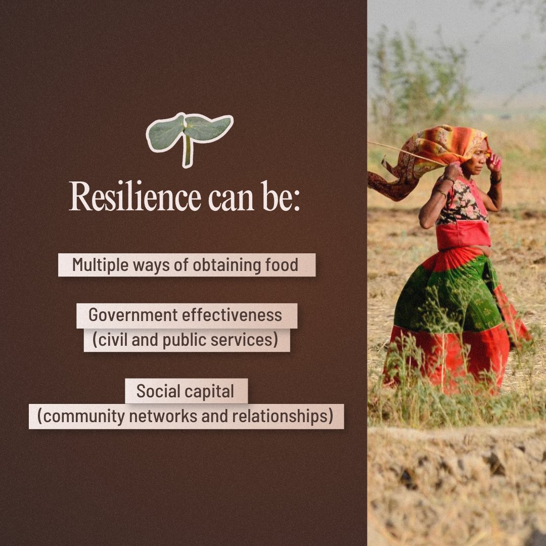 BiovIntCIAT_eng's tweet photo. 🌍 Natural and human-made shocks do not have to lead to more hunger by default.
New research in PNAS points to resilience: the ability of people, communities, and institutions to adapt and recover. 
👉 Learn more: https://t.co/cJZNgAQjgK https://t.co/N6FBolSYFO
