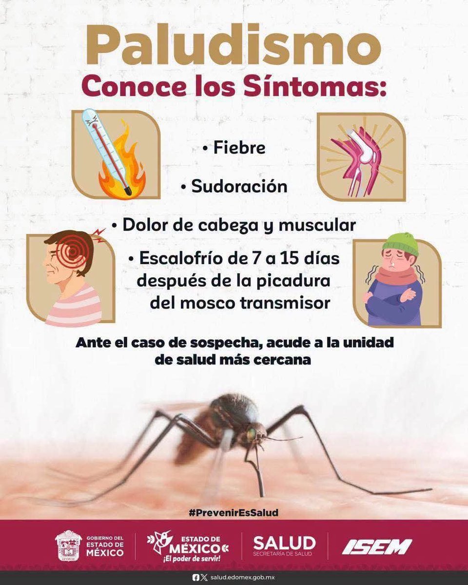 15ees0222a's tweet photo. 🚨 El #Paludismo puede aparecer días despu��s de una picadura. ¡Reconocer los síntomas a tiempo puede salvar vidas! 🤒

Ante cualquier señal, acude de inmediato a tu unidad de salud más cercana.

#PrevenirEsSalud https://t.co/lsSAUhFFCV