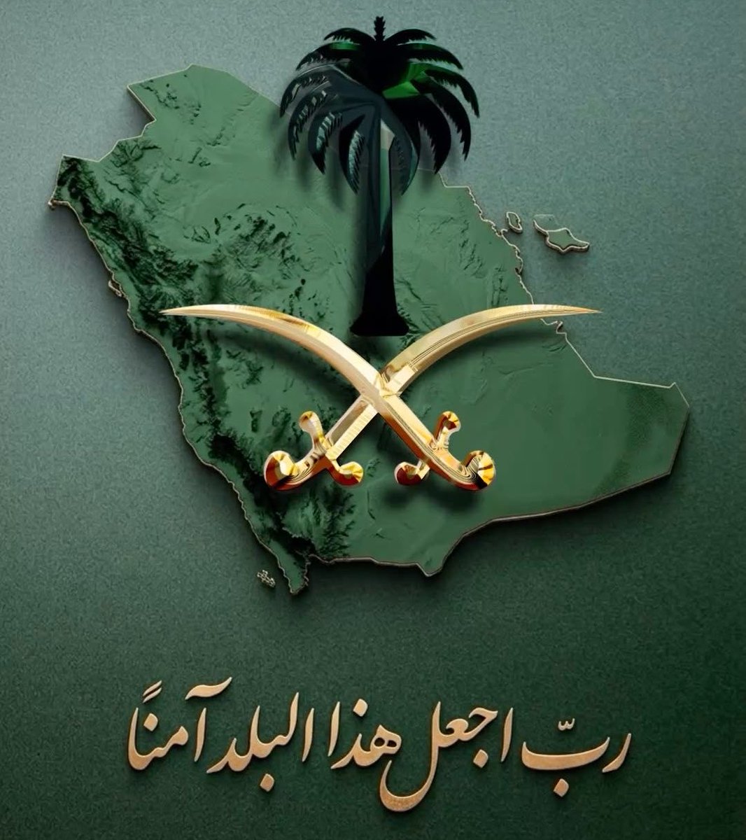 ln258_'s tweet photo. الله يديم عزك ياوطن 💚💚💚 https://t.co/PATidaH7UQ