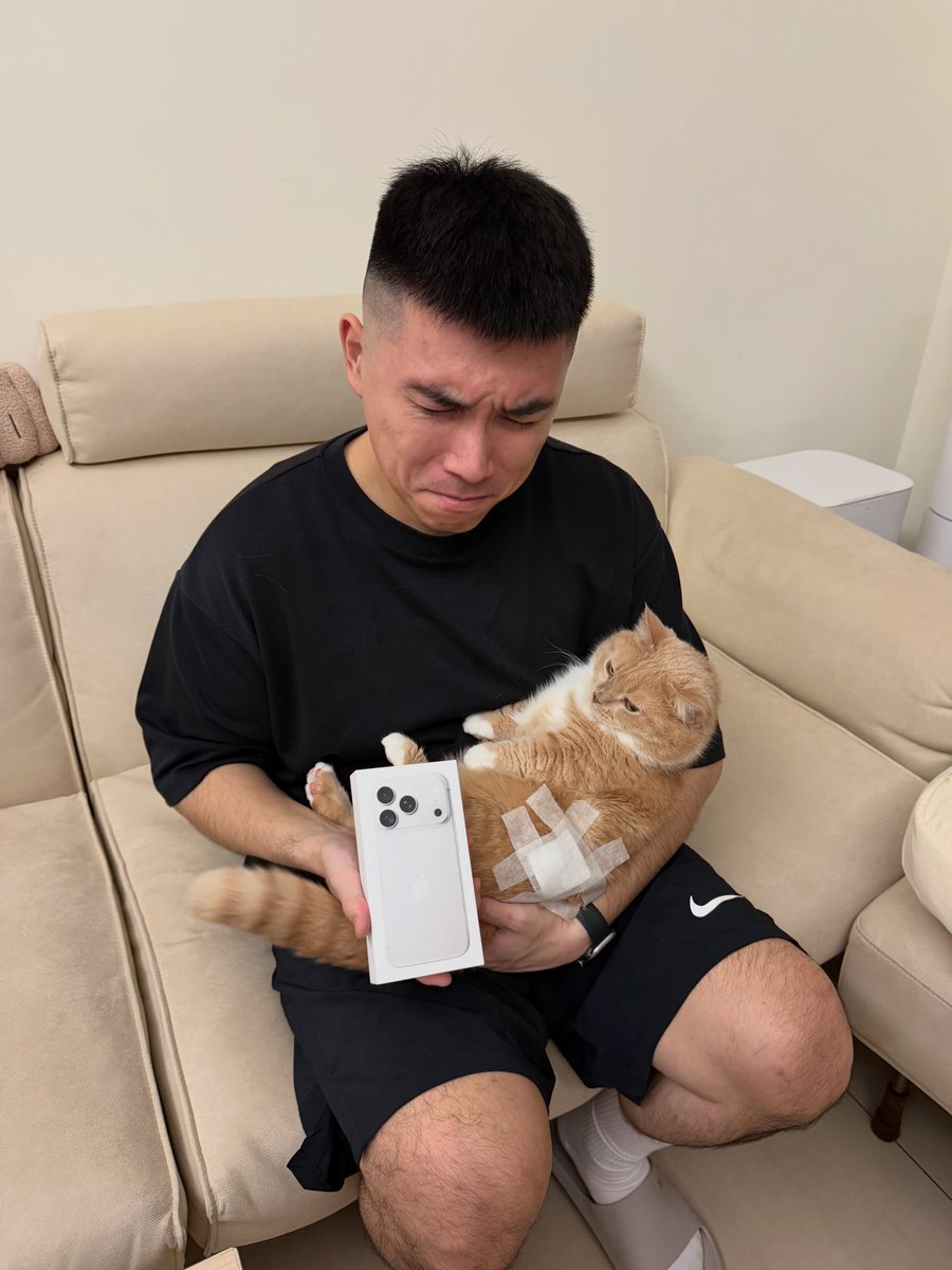 catflixseries's tweet photo. OMG Nooo! https://t.co/wCXNFsdGiZ