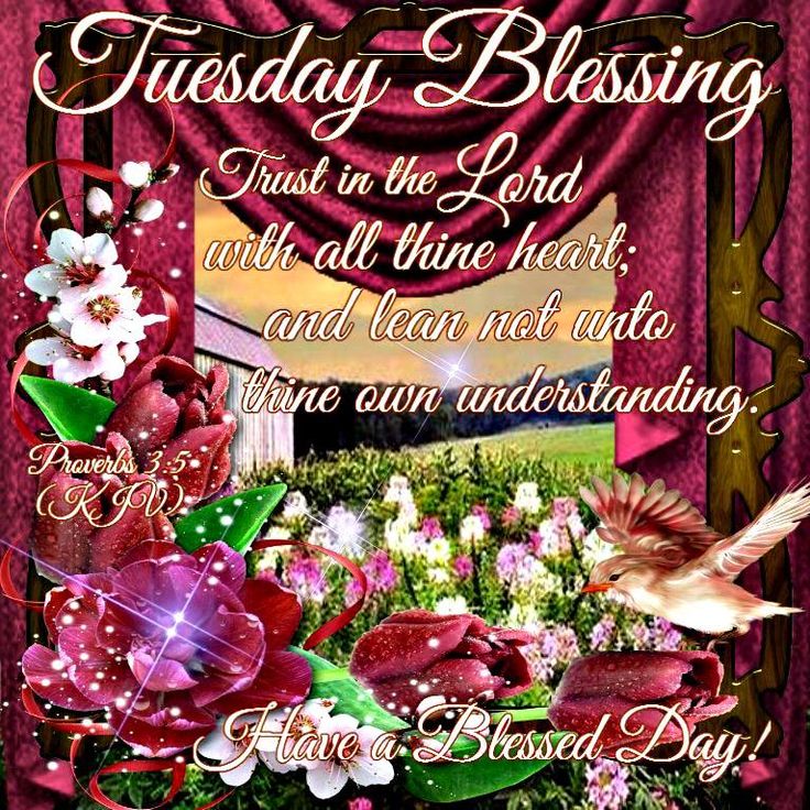 ConnieCline25's tweet photo. #TuesdayBlessings https://t.co/9hLepOhLBj